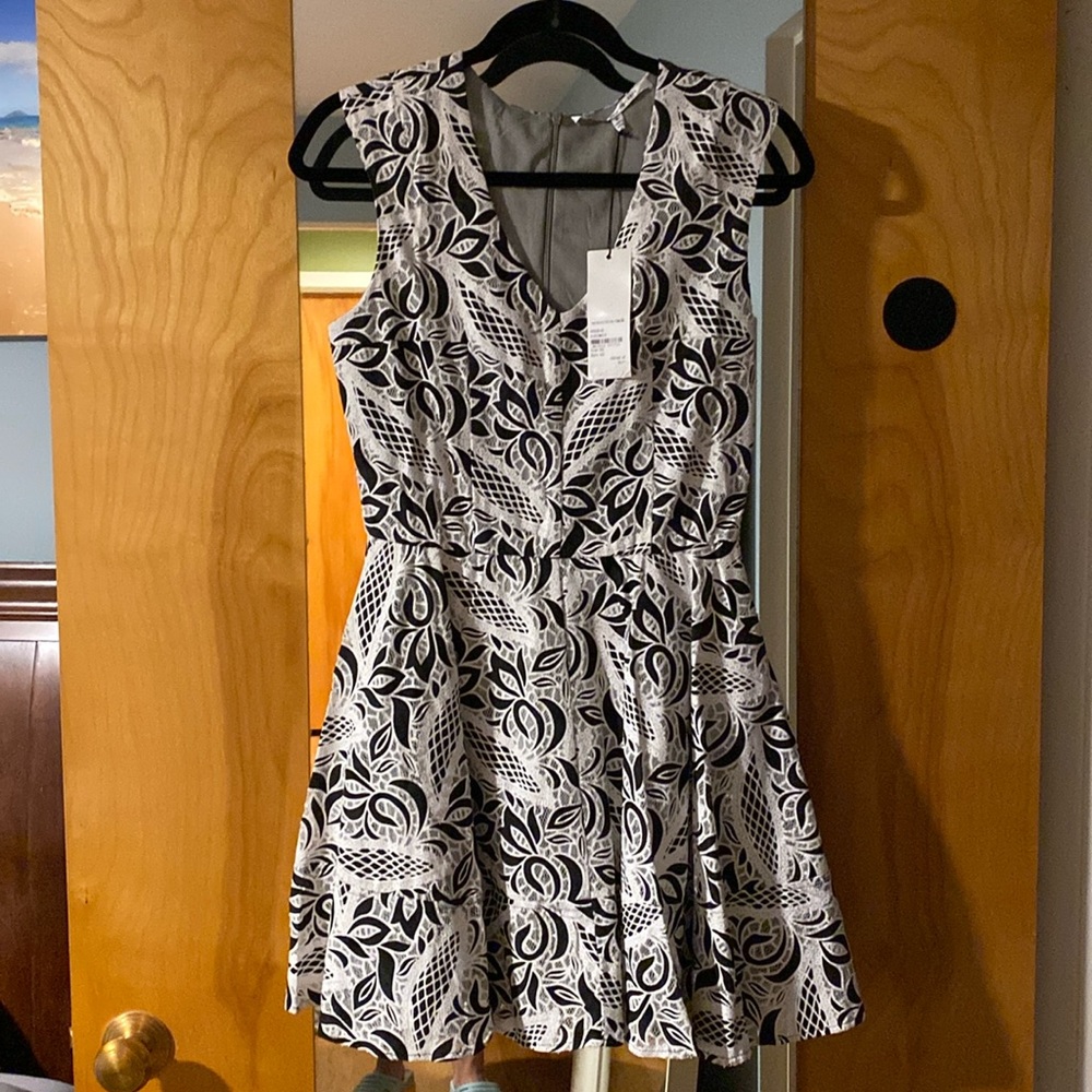 Collective Concepts dress. NWT.